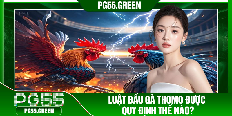 Luật đấu gà Thomo được quy định thế nào?