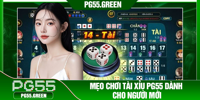 Mẹo chơi tài xỉu PG55 dành cho người mới