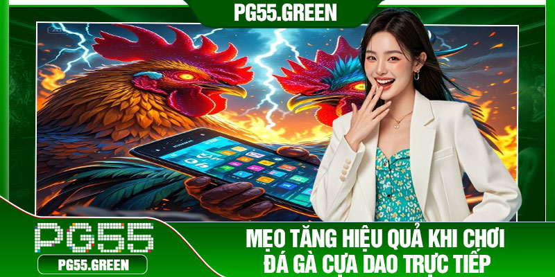 Mẹo tăng hiệu quả khi chơi đá gà cựa dao trực tiếp