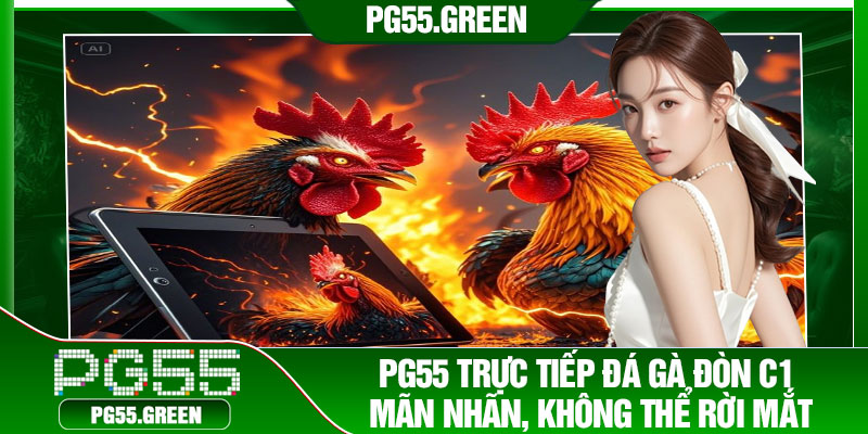PG55 Trực tiếp đá gà đòn C1 mãn nhãn, không thể rời mắt