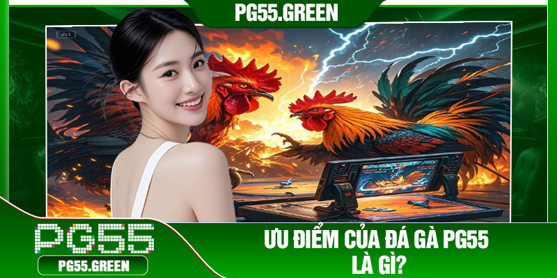 Ưu điểm của đá gà PG55 là gì?